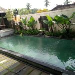 WhatsApp Image 2025-11-19 at 18.49.20