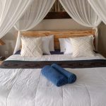 WhatsApp Image 2025-11-19 at 18.49.21 (1)