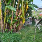 WhatsApp Image 2026-04-01 at 6.00.08 PMrr