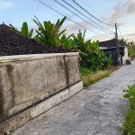 WhatsApp Image 2026-04-01 at 6.00.09 PMe